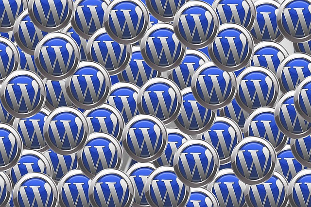 WordPress, jako skvělý pomocník při tvorbě webových stránek